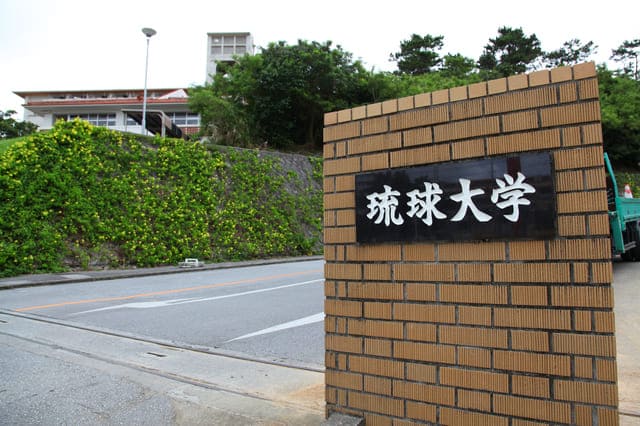 琉球大学 医学部受験のプロ